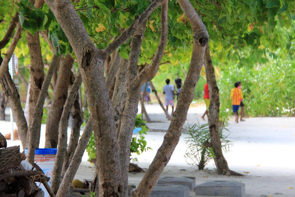 Rip Tide Vacation Inn, K.Guraidhoo 古雷德胡 外观 照片
