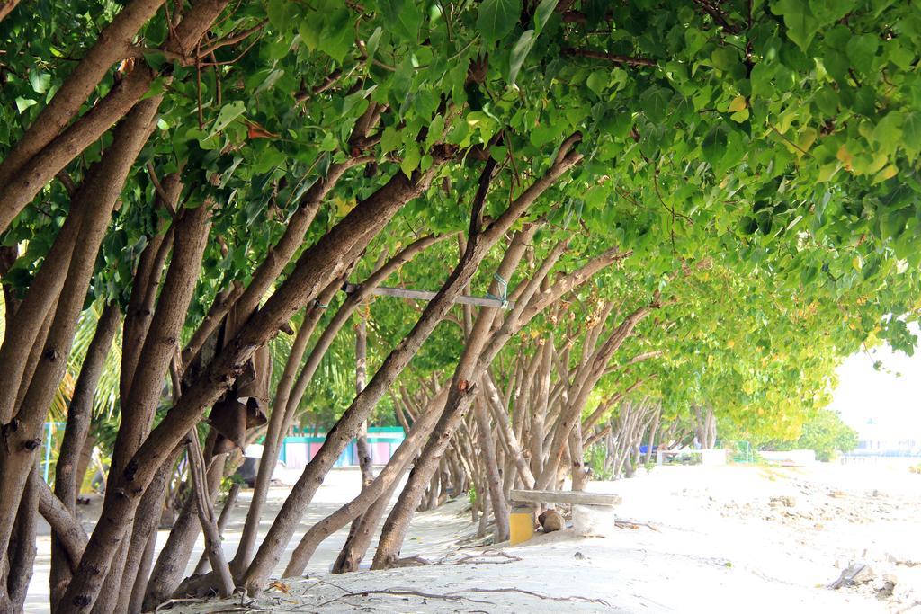 Rip Tide Vacation Inn, K.Guraidhoo 古雷德胡 外观 照片