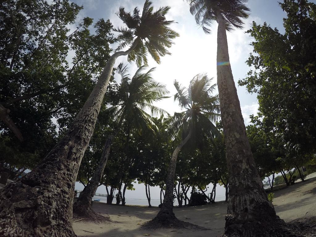Rip Tide Vacation Inn, K.Guraidhoo 古雷德胡 外观 照片