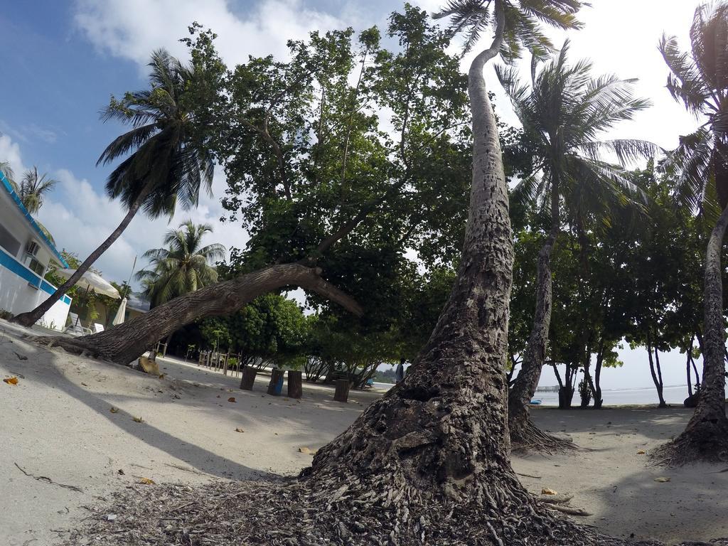 Rip Tide Vacation Inn, K.Guraidhoo 古雷德胡 外观 照片