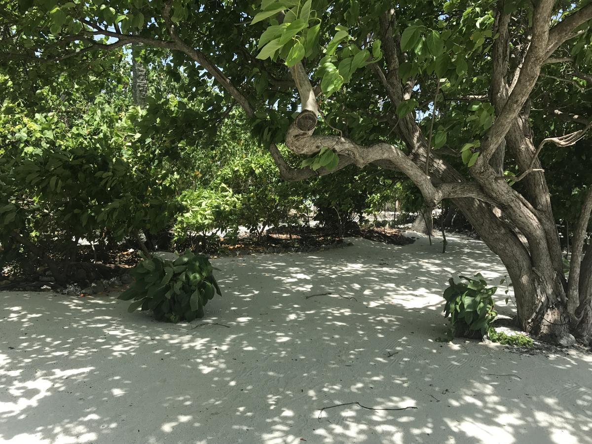 Rip Tide Vacation Inn, K.Guraidhoo 古雷德胡 外观 照片