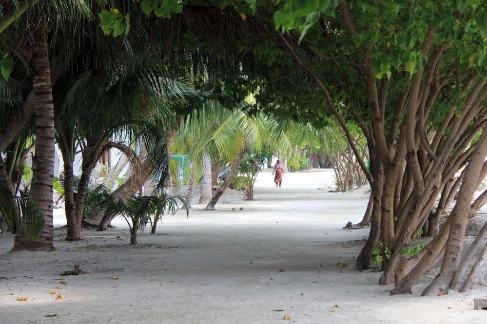 Rip Tide Vacation Inn, K.Guraidhoo 古雷德胡 外观 照片