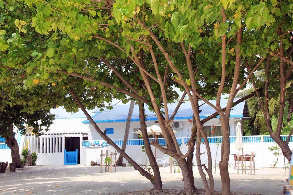 Rip Tide Vacation Inn, K.Guraidhoo 古雷德胡 外观 照片